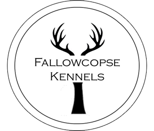 Fallowcopse Kennels - Cockapoos Petersfield Hampshire Surrey Sussex London Berkshire Buckinghamshire Dorset Kent Somerset Wiltshire Oxford